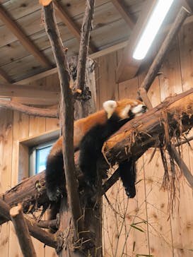 伊豆シャボテン動物公園に投稿された画像（2024/2/19）