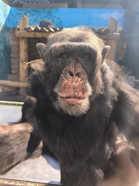 伊豆シャボテン動物公園に投稿された画像（2024/2/19）