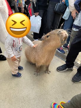 神戸どうぶつ王国に投稿された画像（2024/2/19）