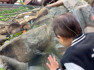 神戸どうぶつ王国に投稿された画像（2024/2/19）