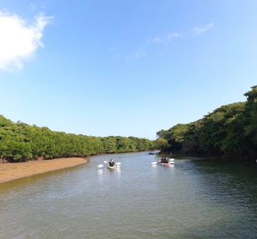 石垣島 ADVENTURE PiPi（イシガキジマアドベンチャーピピ）に投稿された画像（2024/2/19）