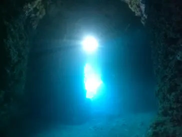 武藤潜水に投稿された画像（2024/2/19）