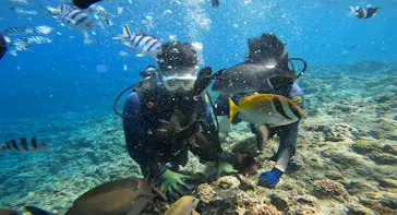 武藤潜水に投稿された画像（2024/2/19）