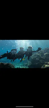 武藤潜水に投稿された画像（2024/2/19）