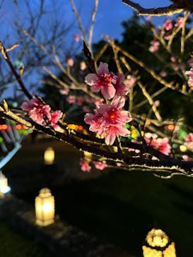 体験王国 むら咲むらに投稿された画像（2024/2/19）