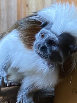 神戸どうぶつ王国に投稿された画像（2024/2/19）