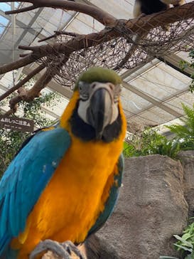 神戸どうぶつ王国に投稿された画像（2024/2/19）