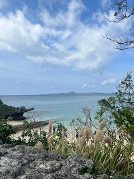 沖縄美ら海水族館に投稿された画像（2024/2/19）