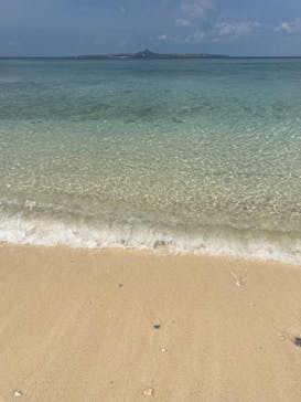 沖縄美ら海水族館に投稿された画像（2024/2/19）