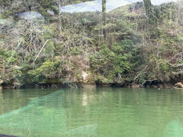 恵那峡遊覧船に投稿された画像（2024/2/19）