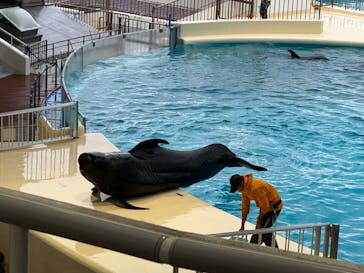 マリンワールド海の中道に投稿された画像（2024/2/19）