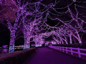 東武動物公園に投稿された画像（2024/2/19）