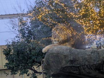 東武動物公園に投稿された画像（2024/2/19）