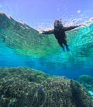 宮古島 ADVENTURE PiPi（ミヤコジマ アドベンチャー ピピ）に投稿された画像（2024/2/19）