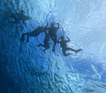 石垣島 ADVENTURE PiPi（イシガキジマアドベンチャーピピ）に投稿された画像（2024/2/19）