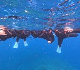 石垣島 ADVENTURE PiPi（イシガキジマアドベンチャーピピ）に投稿された画像（2024/2/19）