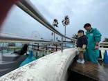 南知多ビーチランド＆南知多おもちゃ王国に投稿された画像（2024/2/19）