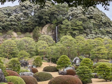 足立美術館に投稿された画像（2024/2/19）