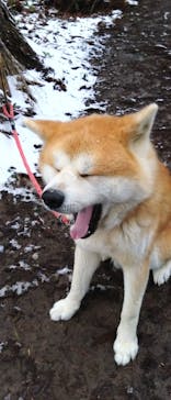 一般社団法人ヘルスケアデザイン秋田に投稿された画像（2024/2/19）