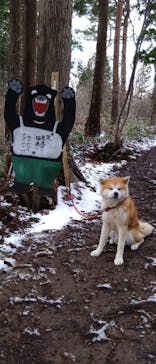 一般社団法人ヘルスケアデザイン秋田に投稿された画像（2024/2/19）