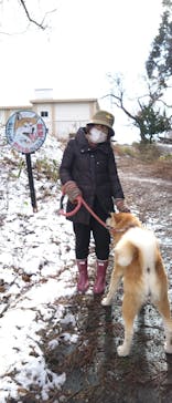 一般社団法人ヘルスケアデザイン秋田に投稿された画像（2024/2/19）