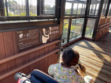 到津の森公園に投稿された画像（2024/2/19）