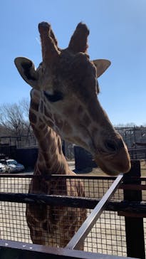 那須サファリパークに投稿された画像（2024/2/19）