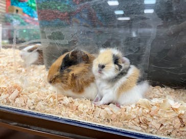 いきもの探検隊上尾に投稿された画像（2024/2/19）