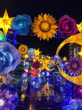 伊豆ぐらんぱる公園に投稿された画像（2024/2/19）