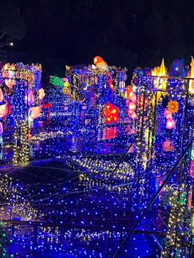 伊豆ぐらんぱる公園に投稿された画像（2024/2/19）