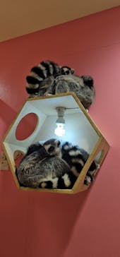 アニタッチアクアシティお台場に投稿された画像（2024/2/19）