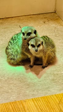 アニタッチアクアシティお台場に投稿された画像（2024/2/19）