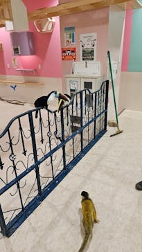 アニタッチアクアシティお台場に投稿された画像（2024/2/19）