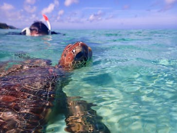 nico 宮古島に投稿された画像（2024/2/19）