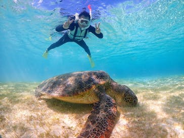 nico 宮古島に投稿された画像（2024/2/19）