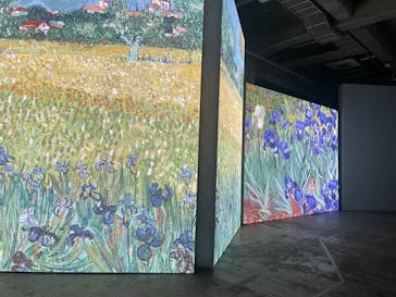 ゴッホ・アライブに投稿された画像（2024/2/19）