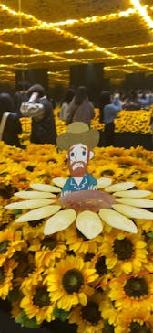 ゴッホ・アライブに投稿された画像（2024/2/19）