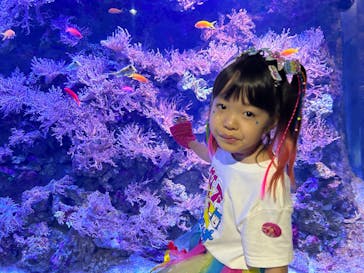 名古屋港水族館に投稿された画像（2024/2/19）