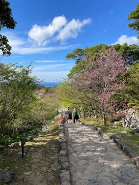 今帰仁城跡に投稿された画像（2024/2/19）