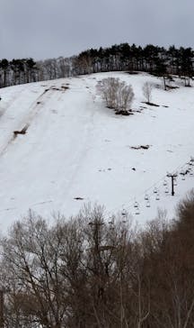 たざわ湖スキー場に投稿された画像（2024/2/19）