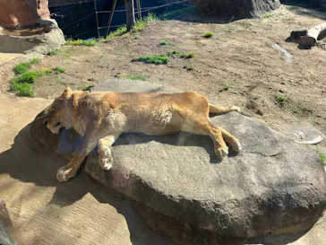 天王寺動物園に投稿された画像（2024/2/19）