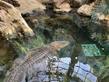 天王寺動物園に投稿された画像（2024/2/19）