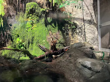 天王寺動物園に投稿された画像（2024/2/19）