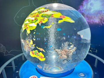 しながわ水族館に投稿された画像（2024/2/19）