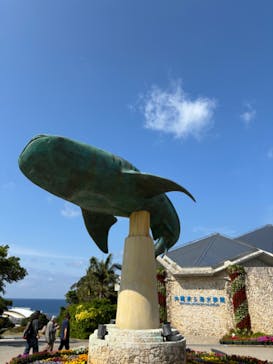 沖縄美ら海水族館に投稿された画像（2024/2/19）