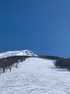たざわ湖スキー場に投稿された画像（2024/2/19）