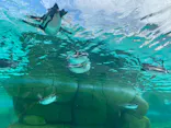 天王寺動物園に投稿された画像（2024/2/20）