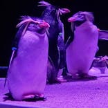 AOAO SAPPOROに投稿された画像（2024/2/20）