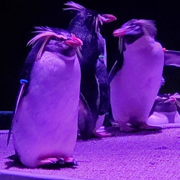 AOAO SAPPOROに投稿された画像（2024/2/19）