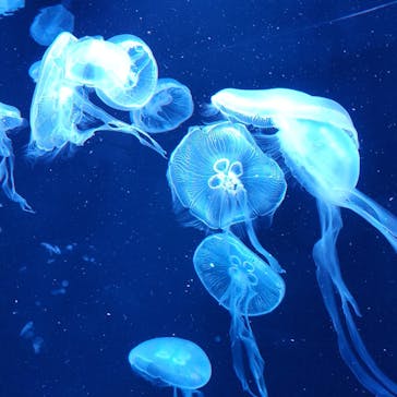 AOAO SAPPOROに投稿された画像（2024/2/19）